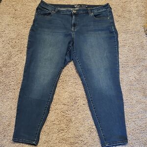 Style & Co. Women's Skinny Jeans 20W